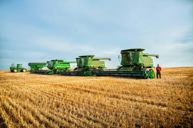A farm crew beside a row of combines in a wheat field